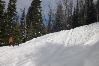 Beehive: Debris pile